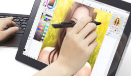 Best 12 inch hybrid featured