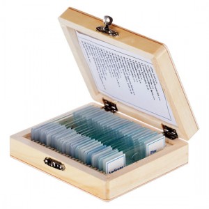 Microscope Sample Slides 25