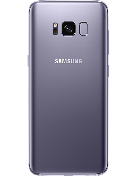 Samsung Galaxy S8 and S8 Backplate Samsung Galaxy S8 and S8 Backplate