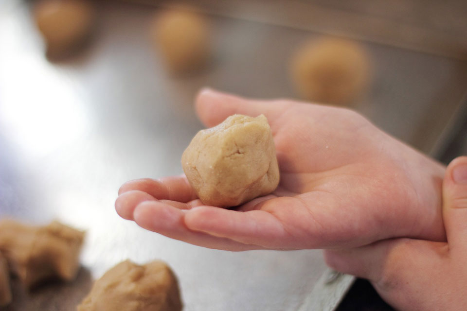 cookies round shape in child's hand