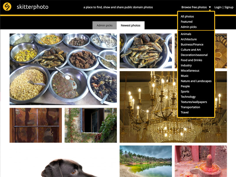 Visit SkitterPhoto Visit SkitterPhoto