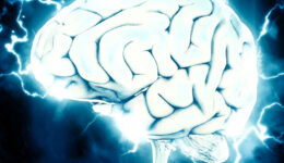 BrainPicSQ