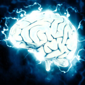 BrainPicSQ BrainPicSQ
