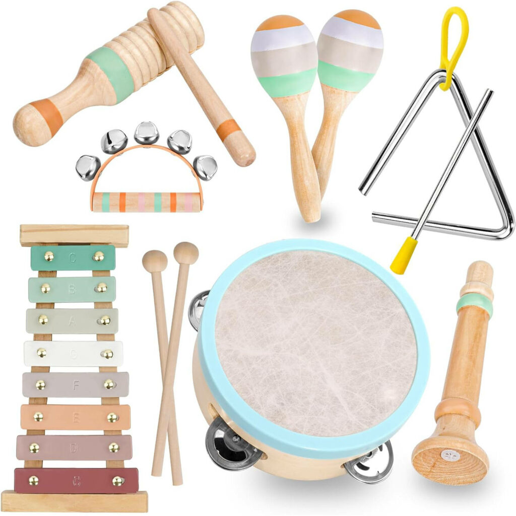 Raimy Musical Instruments Set