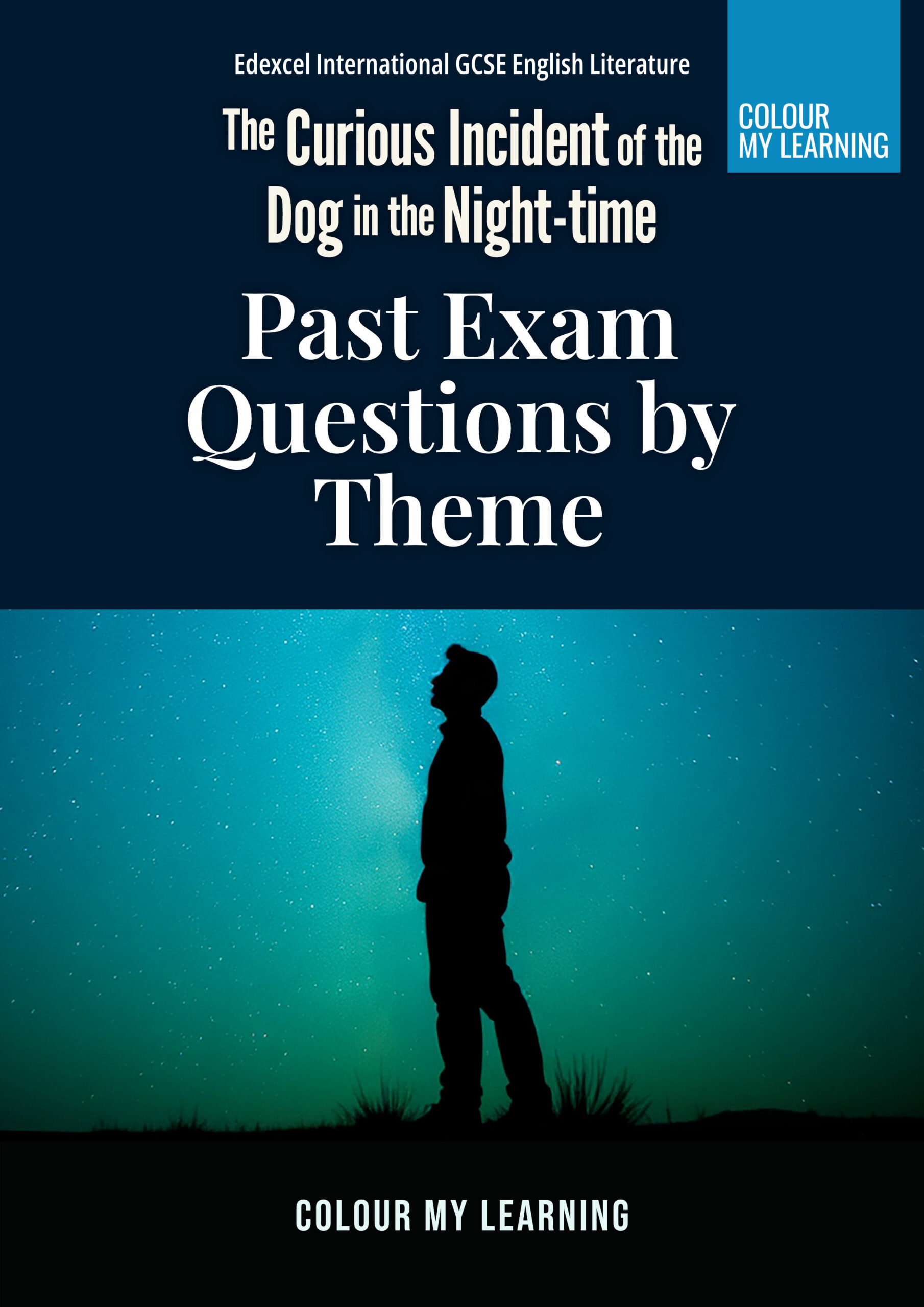 Get The Curious Incident of the Dog in the Night-time Past Exam Questions by Theme
